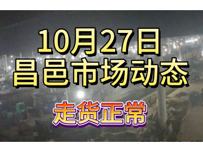 10月27日 昌邑生姜交易实况（走货正常） ()