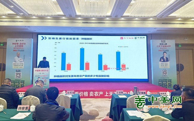 “2023-2024全国生姜产销形式及行情展望”讲座01