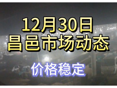 12月30日 昌邑生姜交易实况（价格稳定） ()