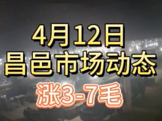 4月12日 琨福市场大姜价格（涨3-7毛） ()