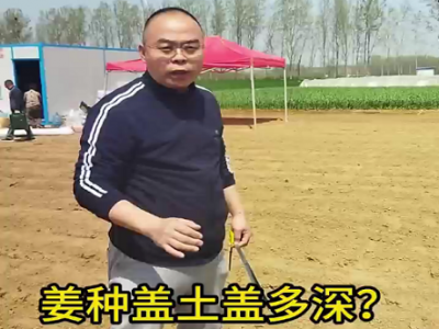 姜种盖土盖多深 ()