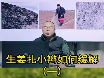 生姜扎小辫如何缓解？ ()