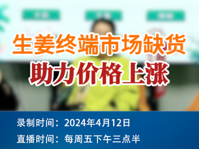 生姜终端市场缺货 助力价格上涨 ()