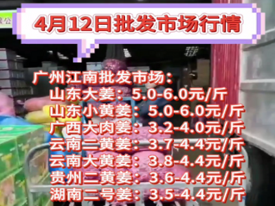 4月12日广州江南批发市场生姜价格行情 ()