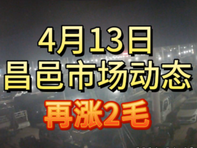 4月13日 琨福市场大姜价格（再涨2毛） ()