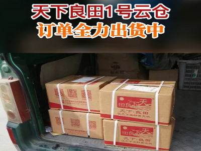 天下良田1号云仓订单全力出货中...... ()