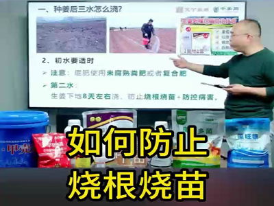如何防止烧根烧苗？ ()
