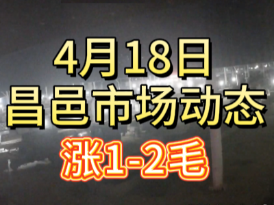 4月18日 琨福市场大姜价格（涨1-2毛） ()
