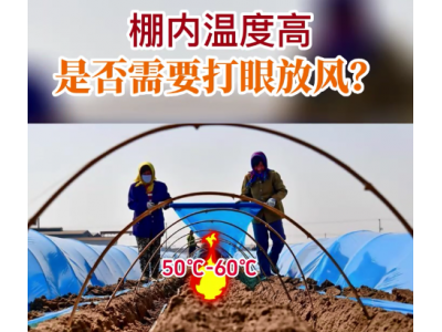 棚内温度高 是否需要打眼放风？ ()