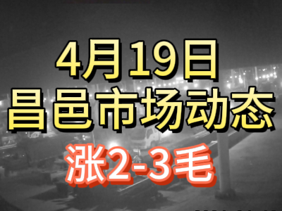 4月19日 琨福市场大姜价格（涨2-3毛） ()