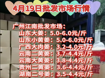 4月19日广州江南批发市场生姜价格行情 ()