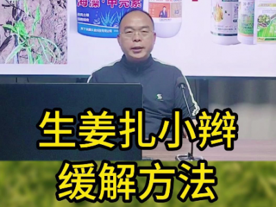 生姜扎小辫缓解方法 ()