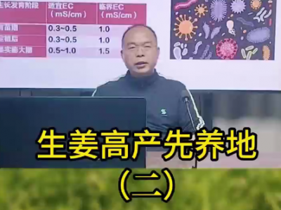 生姜高产先养地（二） ()