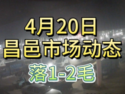 4月20日 琨福市场大姜价格（落1-2毛） ()
