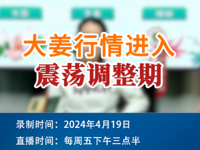 大姜行情进入震荡调整期 ()