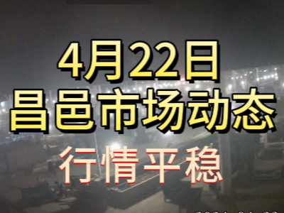4月22日 琨福市场大姜价格（行情平稳） ()