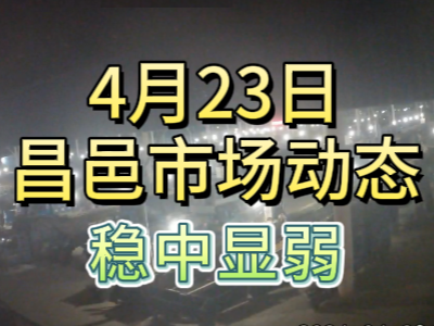 4月23日 琨福市场大姜价格（稳中显弱） ()