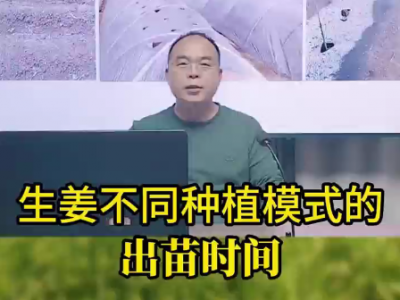 生姜不同种植模式的出苗时间 ()