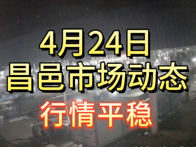 4月24日 琨福市场大姜价格（行情平稳） ()