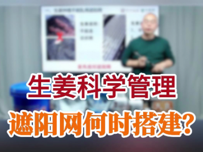 遮阳网何时搭建？ ()