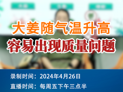 大姜随气温升高，容易出现质量问题！ ()