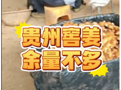 25.5.7南方姜(贵州) ()