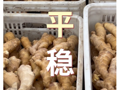 5月7日 生姜价格行情（平稳） ()