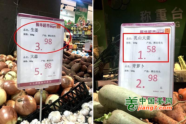 烟台芝罘区：生姜卖出白菜价 ()