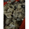 山东生姜产地/山东生姜价格/山东姜种批发