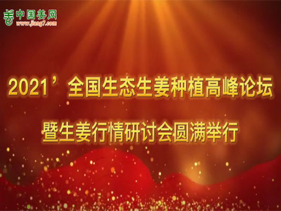 2021’全国生态生姜种植高峰论坛暨生姜行情研讨会精彩集锦 ()