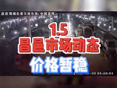 1月5日 昌邑生姜交易实况（价格暂稳） ()