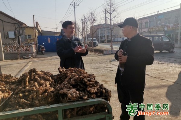 生态基地回访侧记--莱芜、青州篇 ()