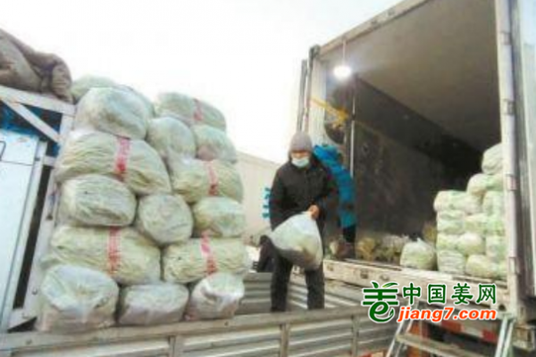 春节临近蔬菜价格不升反降 ()