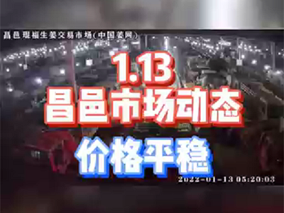 1月13日 昌邑生姜交易实况（价格平稳） ()