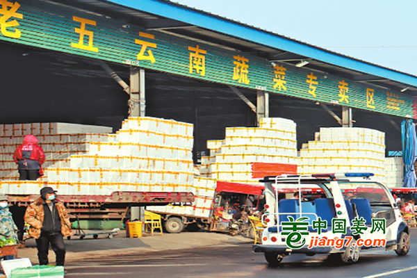 河南安阳：疫情下蔬菜供应稳定 ()