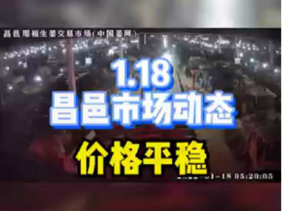 1月18日 昌邑生姜交易实况（价格平稳） ()