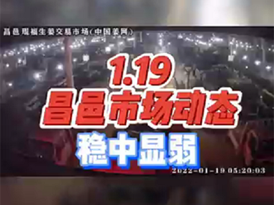 1月19日 昌邑生姜交易实况（稳中显弱） ()