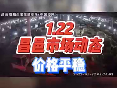 1月22日 昌邑生姜交易实况（价格平稳） ()