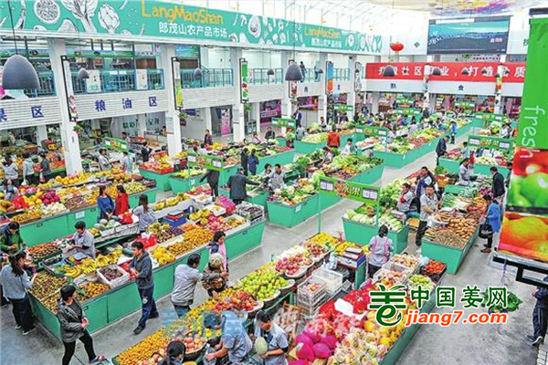 山东济南：菜篮子供应充足 ()