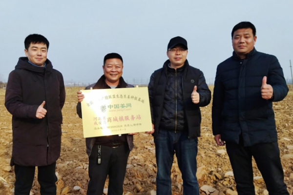 中国姜网生态基地调研--河北篇 ()