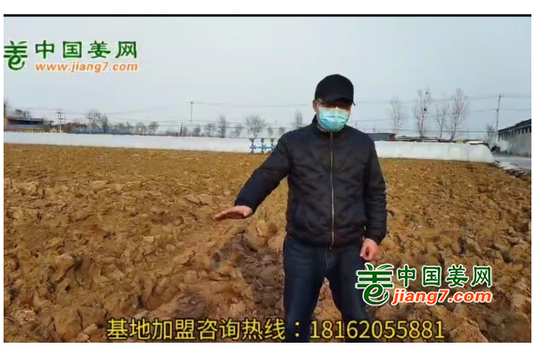 中国姜网新生态基地调研--河北（邢台、石家庄)篇 ()