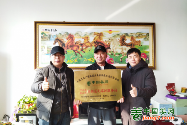 中国姜网新生态基地调研--河北（唐山)篇 ()