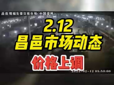 2月12日 昌邑生姜交易实况（价格上涨） ()