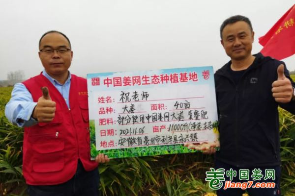 中国姜网生态基地调研指导--安徽（亳州、阜阳) ()