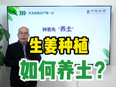 生姜种植如何养土？ ()