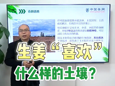 生姜“喜欢”什么样的土壤？ ()