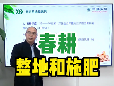 春耕整地和施肥 ()