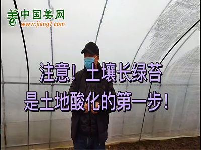 注意！土壤长绿苔是土地酸化的第一步 ()