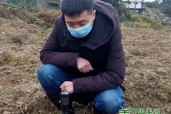 中国姜网生态基地调研指导--福建德化、江西于都 ()