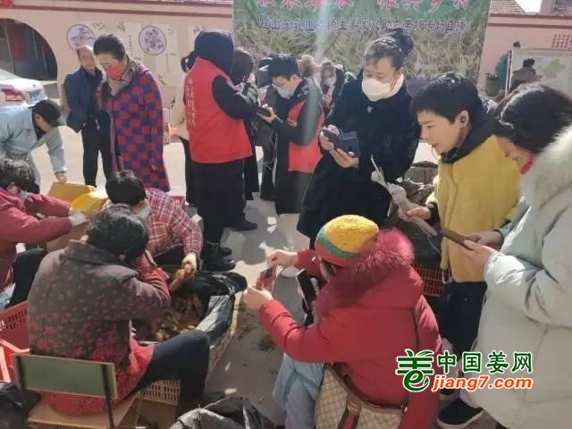 威海乳山：直播助农卖生姜 ()